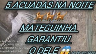 cacadorespiauienseaoextrem7247 5 ACUADAS NA NOITE🐕🐕💥💥 [upl. by Garrot]