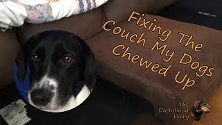 Ep 6 Fixing The Couch My Dog Chewed Up [upl. by Acirret]