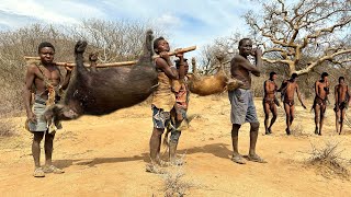 Hadzabe Tribe  Bush Pig Hunt And Cooking hunters life [upl. by Rehttam]