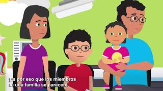 Cómo los cromosomas y genes afectan las condiciones genéticas en los niños Spanish [upl. by Eeruhs866]