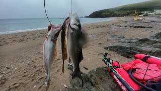 Spearfishing South Devon 070924 [upl. by Frymire]