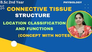 Structure Location Classification And Functions Of Connective Tissue BSc 2nd Yearconnectivetissue [upl. by Gaivn]