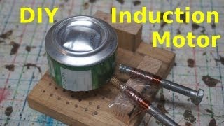 Home Made Induction Motor [upl. by Nosidam]