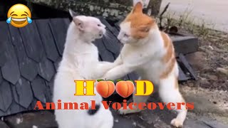 Hood Animal Voiceovers 🤣 55 [upl. by Anirtac]