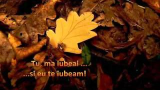 Les feuilles mortes Yves Montand subtitrat română [upl. by Randie665]