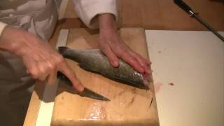 How to scale gut and fillet a fish [upl. by Hras819]