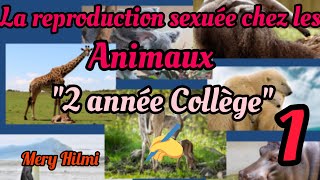 La reproduction sexuée chez les animaux 2 année Collège partie01 [upl. by Eeluj]