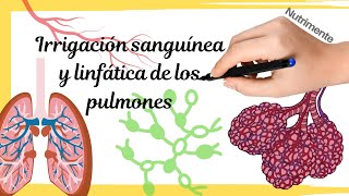 IRRIGACIÓN sanguínea y linfática de los PULMONES [upl. by Llenal]