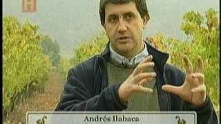 Vinos del Sur ChileArgentina  Bloque 3 de 6  The History Channel [upl. by Jorey]