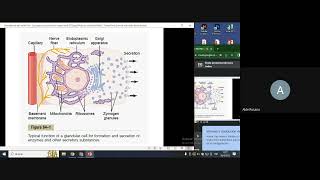 PREPARATE Nutrición  Fisiología Secreción Gástrica y Pancreática  Prof Pablo Arias [upl. by Naxor]