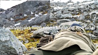 Jaktinord  Rypejakt med 65x55 på toppen av Norge  Ptarmigan hunting in Norway [upl. by Janka]