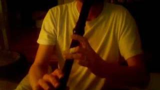 Stairway to Heaven on tenor recorder [upl. by Kriste]