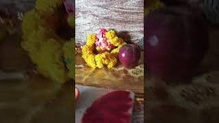 Ganpati bappa moriya mangle murti morya🙏🙏🙏ganeshchaturthi ganesharti youtubeshorts [upl. by Alamat]