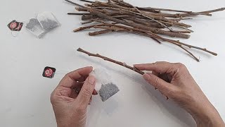 RAMAS y SAQUITOS de Té para hacer 3 Fáciles ideas  Arte en casa  Manualidades y recilaje  DIY [upl. by Auohs]