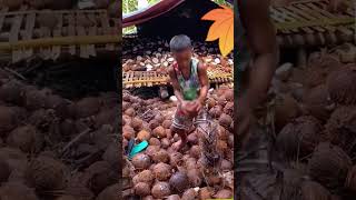 This little kids coconut cracking trick will boost your skills [upl. by Balfore]