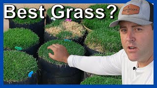 Best grass seed what are ELITE grass seeds [upl. by Adamo]