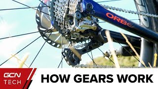 How Do Bike Gears Work  Bicycle Gears Explained [upl. by Lecirg]