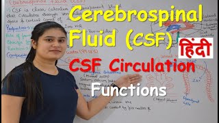 Cerebrospinal fluid in Hindi CSF  Functions  Production  CSF Circulation  Choroid Plexus [upl. by Allix]