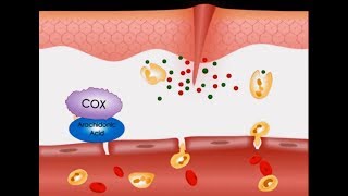 NSAIDs Mechanism of Action Aspirin  Pain Management  Doctor of Pharmacy  PharmD [upl. by Hailey]