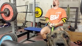 Wave 2 753 Bankdrücken 3x1075 kg  Bench Press 3x237 lbs feat Caillou [upl. by Iatnohs979]