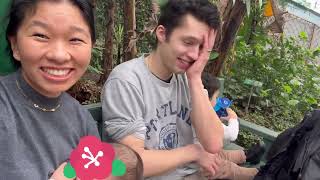 🦋 went to swiss 🇨🇭 Butterfly world  Papiliorama  Tibetan  tibetanvlogger [upl. by Gery]