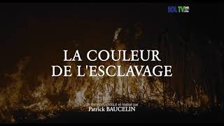 LA COULEUR DE LESCLAVAGE de Patrick BAUCELIN A LESPACE PAUL ELUARD DE STAINS Un Film de EOL [upl. by Okihcim]