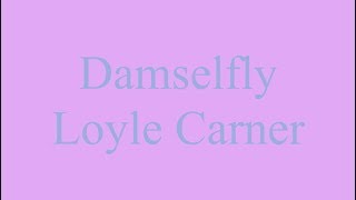 Damselfly  Loyle Carner ft Tom Misch Guitar Loop Cover [upl. by Varden]