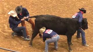 Wild Cow Milking  2018 WRCA World Championship Ranch Rodeo [upl. by Ellehctim571]