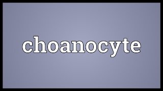 Choanocyte Meaning [upl. by Reviere]