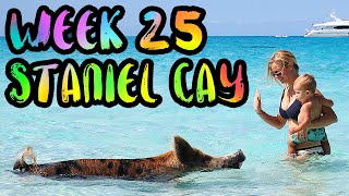 BAHAMAS Swimming Pigs and Hammerhead Sharks  WEEK 25  Staniel Cay and Bimini Bahamas [upl. by Seni]