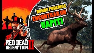 Donde cazar UAPITI o WAPITI LOCALIZACIÃ“N EN RED DEAD REDEMPTION 2  RDR2 [upl. by Nadirehs683]