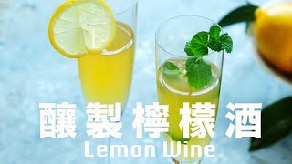 漫長的等待🍋 喝的是靈魂解放🥂 100天然純釀檸檬酒 beanpandacook​ [upl. by Sewoll]