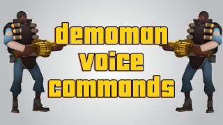 Team Fortress 2 Demoman Voice Commands [upl. by Esojnauj756]