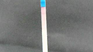 One Step Pregnancy Dipstick Test [upl. by Yankee962]