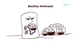 Bacillus Anthracis  Properties Pathology Disease Management Approach [upl. by Mharg]