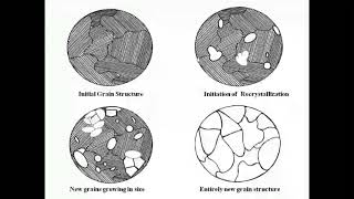 Recrystallization in Metals  Cold Working and Hot Working  Explained Easily with Animation [upl. by Seravat]