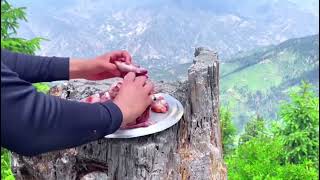 Out Door Traditional Dum Pukht in Forest [upl. by Aehta145]