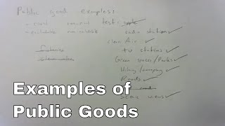 Examples of Public Goods in economics [upl. by Vizza441]