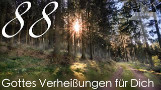 Gottes Verheißungen für Dich  1 Johannes 514  Videokalender 88365  Deutschland braucht JESUS [upl. by Souvaine]