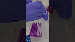 Dijital PCR deneyimi 🧬🤩 dPCR qiagen [upl. by Reichert]