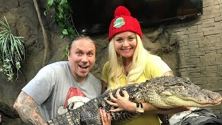 Spend the night with Alligators at THE REPTARIUM [upl. by Isabea]