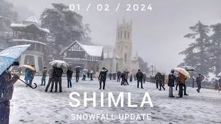 Shimla Snowfall Update Live from Shimla  Shimla snowfall  Snowfall Update [upl. by Apps422]