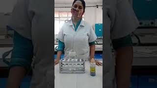 Mastitis test using Bromothymol Blue pH indicator [upl. by Iarised]