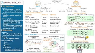 Seizures amp Epilepsy Overview [upl. by Publias]