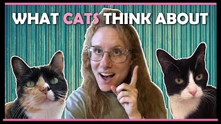 Animal Communicator Speaks to Pet Cats and Passed Pets  Psychic Readings in Action  Pet Psychic [upl. by Oiril]