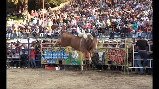 LOS DESTRUCTORES DE MEMO OCAMPO JARIPEO EN LA CAÑADA MICHOACÁN 22 DICIEMBRE 2022 [upl. by Hajar814]