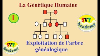 1 La génétique humaine  Exploitation de larbre généalogique  SVT BAC [upl. by Yeuh390]