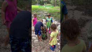 Brothers Catching Bullfrogs outdoors bullfrog bullfrogs frogs fishing frog reptiles [upl. by Assisi]