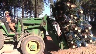 Christmas Tree Harvest at Dutchman Tree Farms [upl. by Wildermuth734]