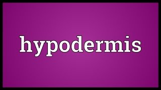 Hypodermis Meaning [upl. by Nylrehc]